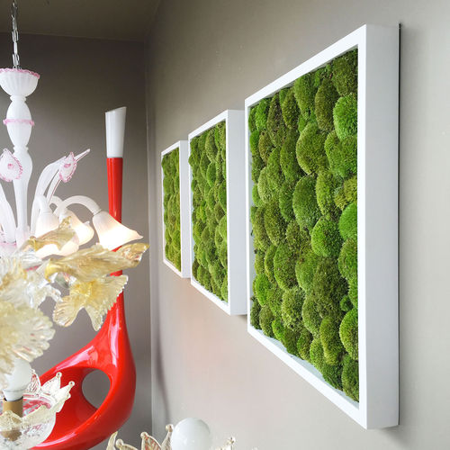 稳定植物画框 - PAINTINGS OF POLEMOSS - BM PIANTE STABILIZZATE - 苔藓 / 室内 / 模块化板