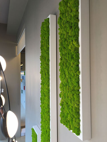 稳定植物画框 - PAINTINGS OF POLEMOSS PANORAMIC - BM PIANTE STABILIZZATE - 苔藓 / 室内 / 模块化板