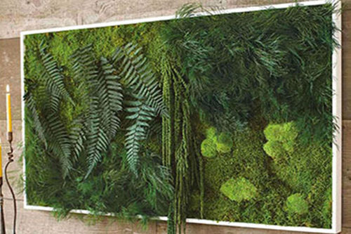 稳定植物画框 - PAINTINGS VEGETAL MAXI - BM PIANTE STABILIZZATE - 苔藓 / 树叶 / 室内