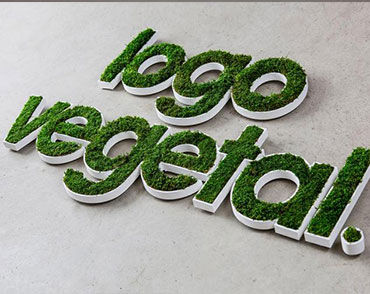 稳定植物画框 - PERSONALIZED LOGOS IN MOSS - BM PIANTE STABILIZZATE - 苔藓 / 天然 / 室内