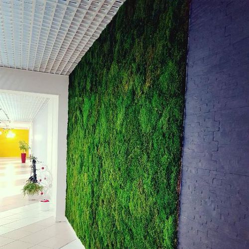 稳定绿植墙 - Mousse - Végétal Indoor - 定制 / 天然 / 室内