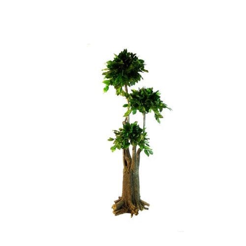 稳定園藝植物 - SALAL - Végétal Indoor - 盆栽 / 大型 / 室内