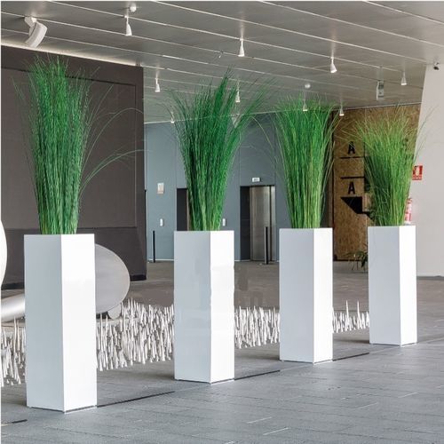 稳定園藝植物 - SGI/0112 - Végétal Indoor - 大型 / 室内