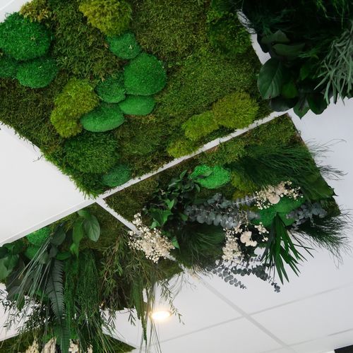 带绿化植物吊顶 - FLEURIE - Végétal Indoor - PET / 方砖 / 室内