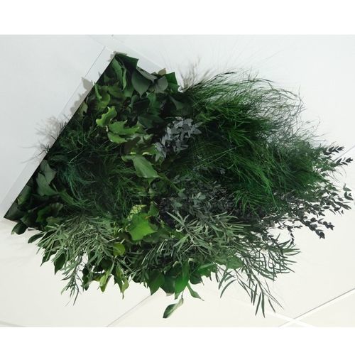 PET吊顶 - Jungle - Végétal Indoor - 方砖 / 室内 / 声学