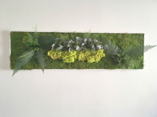 稳定植物画框 - ZENICHUDO - PLANTE STABILISEE - 苔藓 / 树叶 / 永生苔藓