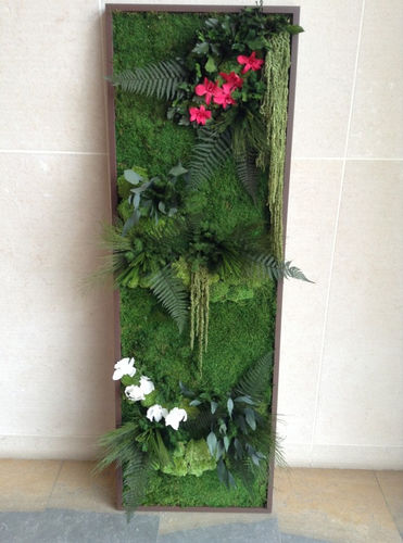 稳定植物画框 - STABILIZED - PLANTE STABILISEE - 永生苔藓 / 花卉 / 室内