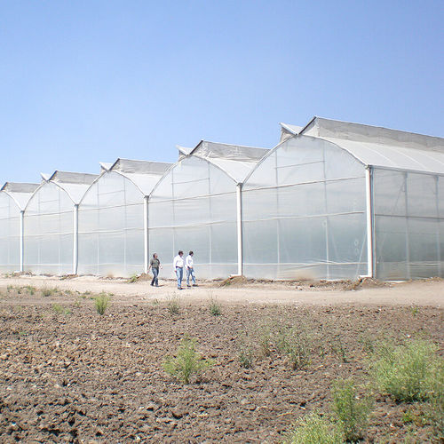 商用温室 - GOTHIC  - ULMA Agricola - 植物园 / 花园 / 商业化种植