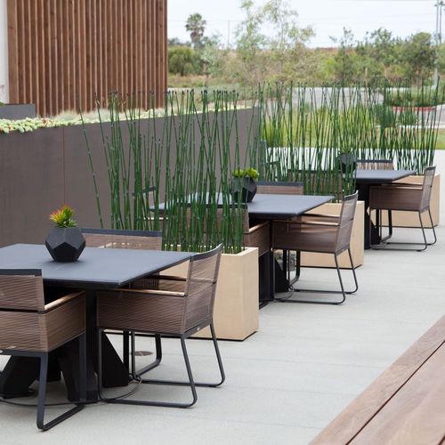 玻璃纤维花坛 - HORSETAIL GROVES - PLANTERS UNLIMITED - 长方形 / 现代风格 / 公共空间