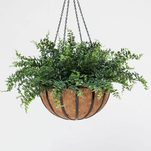钢园艺花盆 - FERN - PLANTERS UNLIMITED - 椰子 / 悬挂式 / 圆形