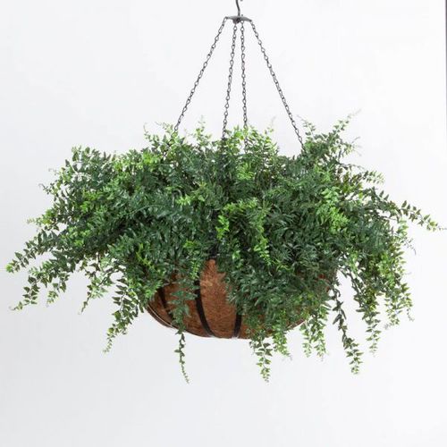 锻铁园艺花盆 - BUCKLER FERN - PLANTERS UNLIMITED - 玻璃纤维 / 悬挂式 / 圆形