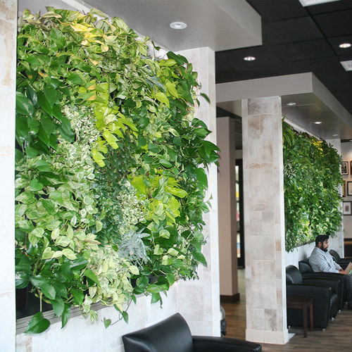 活植物绿植墙 - LiveWall - 天然 / 室内