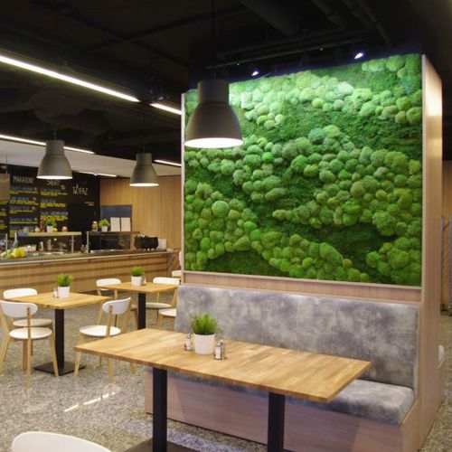 稳定植物画框 - FOREST - wertykaln - 苔藓 / 室内 / 定制