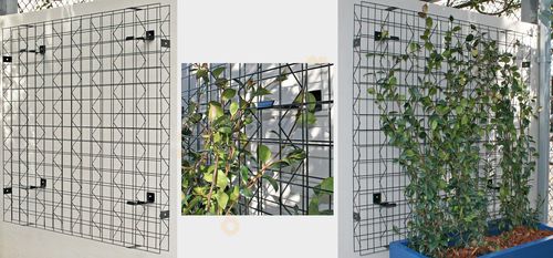 树叶绿植墙 - VERTIGREEN - Tournesol SITEWORKS - 室内 / 户外 / 组合式