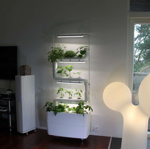 内置自动浇水绿植墙套装 - 3PLANTSTEPS® - Supragarden