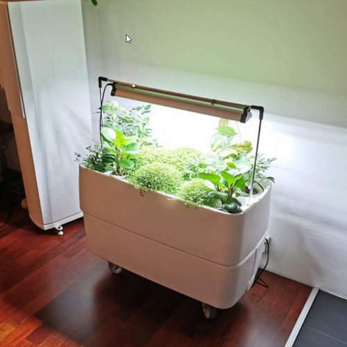 内置自动浇水绿植墙套装 - HYDROPONIC - Supragarden