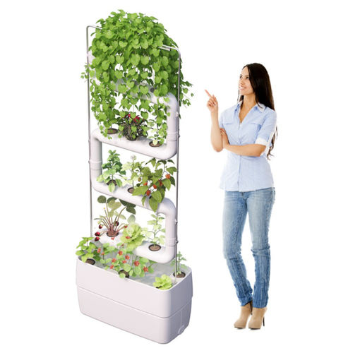 内置自动浇水绿植墙套装 - 4 WHITE PLANTSTEPS EU - Supragarden