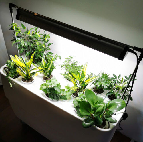种植的照明设备 - GROW LIGHT - Supragarden - 悬挂式 / 明装 / LED式