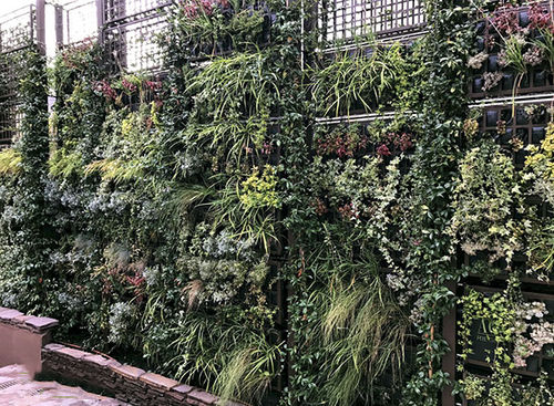 稳定绿植墙 - AG POSTDIV - AIR GARDEN - 模块化板 / 天然 / 树叶