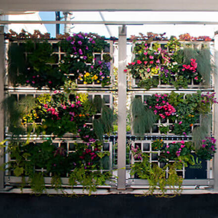 稳定绿植墙 - AG3 POSTDIV-FACTORY VITORIA - AIR GARDEN - 模块化板 / 天然 / 树叶