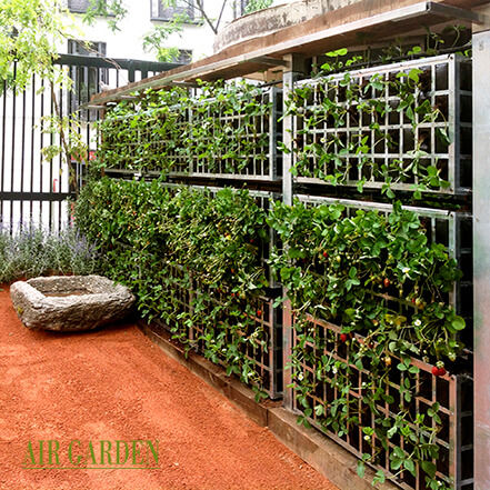 绿植墙格架 - AG3 POSTMUR-POSTDIV - AIR GARDEN - 彩绘金属