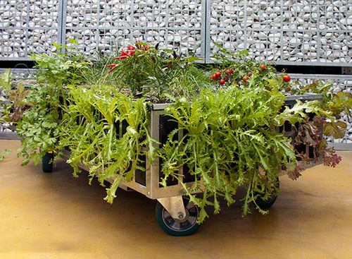 金属花坛 - AG ECO HUERTOS - AIR GARDEN - 长方形 / 带轮 / 现代风格