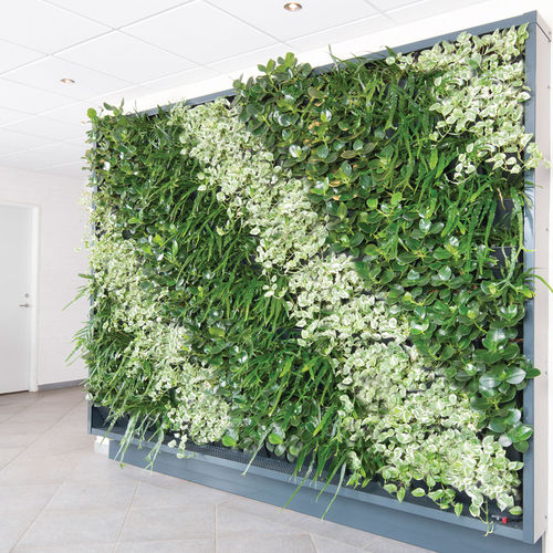 稳定绿植墙 - Natural Greenwalls - 活植物 / 天然 / 室内