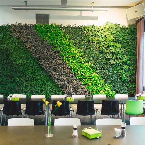 稳定绿植墙 - LIF - Natural Greenwalls - 活植物 / 天然 / 室内
