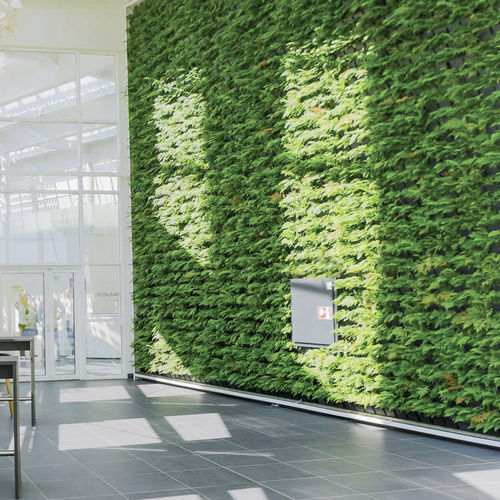 稳定绿植墙 - Natural Greenwalls - 活植物 / 模块化板 / 天然