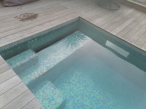 户外游泳池 - Tilestone Pools one piece tiled pools - 地下 / 混凝土 / 马赛克砖