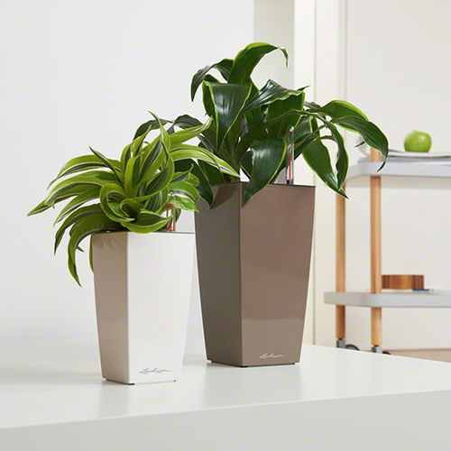 塑料花坛 - MAXI-CUBI - Gover Horticulture LLC - 梯形 / 现代风格 / 商用
