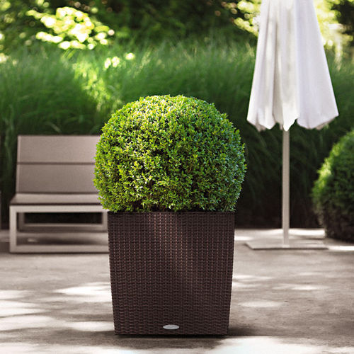 塑料花坛 - COTTAGE - Gover Horticulture LLC - 立方体 / 现代风格 / 公共空间