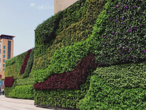 活植物绿植墙 / 定制 / 室内 / 户外