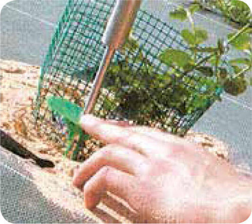 塑料杂草防除订书钉 - APV 20 - TOLTEX - 可生物降解