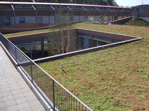外延植被屋顶 - SEDUM ROOFS - hedera screens - 平屋顶 / 密封