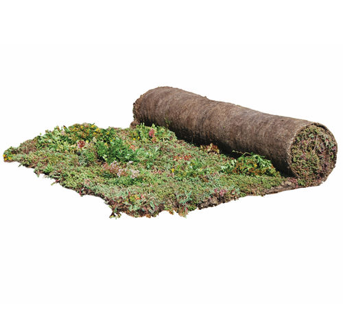 屋顶露台植被屋顶 - SEDUM-MIX BLANKET - Urbanscape - 卷式 / 排水 / 雨水管理