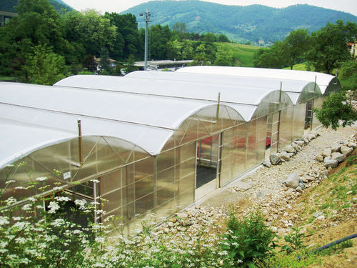 商用温室 - HM - Agrimec srl - 花园 / 商业化种植 / 尖顶