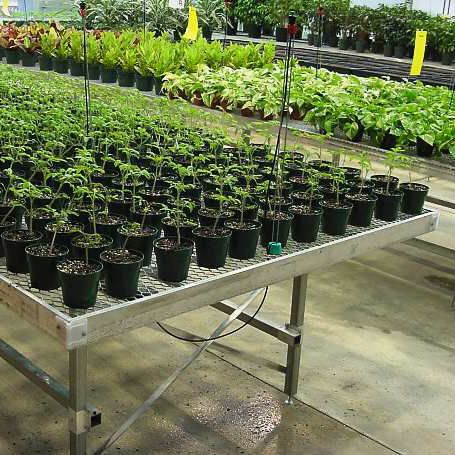 温室种植架 - Ludy Greenhouse Manufacturing Corporation