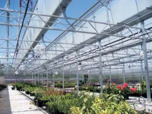 钢Truss架 - EZ-UP DIRECT - Ludy Greenhouse Manufacturing Corporation - 正方形 / 大型活动