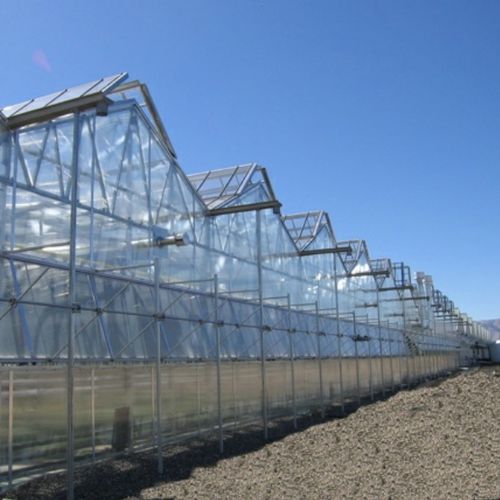 商用温室 - DUAL ATRIUM - Nexus Corporation - 商业化种植 / 多尖顶 / 铝合金框架