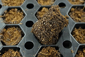 椰树纤维栽培基质 - AERO NT PLUG - Grow-Tech LLC - 珍珠岩 / 散装 / 吸水
