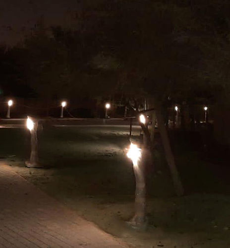 花园灯柱 -  IRUTA C - BSI LIGHTING TECHNOLOGIES INC. - 用于公共空间 / 现代风格 / 不锈钢
