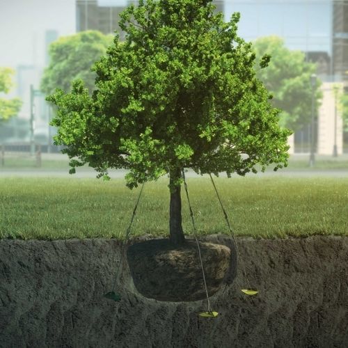 树根保护固定系统 / 锚索 - Ancrest - 拉索系统
