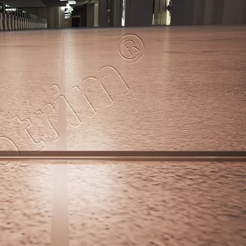 铝制膨胀缝 - PRO-JOIN - Protrim Building Systems - 不锈钢 / 阳极氧化铝 / 用于楼板