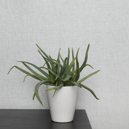 室内墙面材料 - FLAIR - Saint-Gobain Adfors Europe - 玻璃纤维 / 布艺 / 仿布