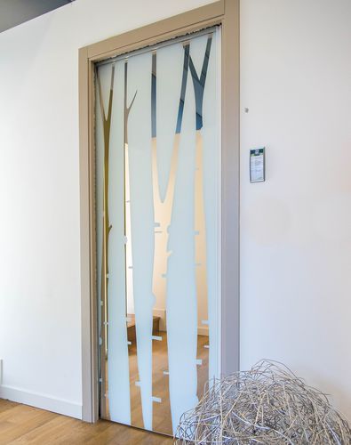 玻璃门贴 - Premium Sliding Doors - 定制