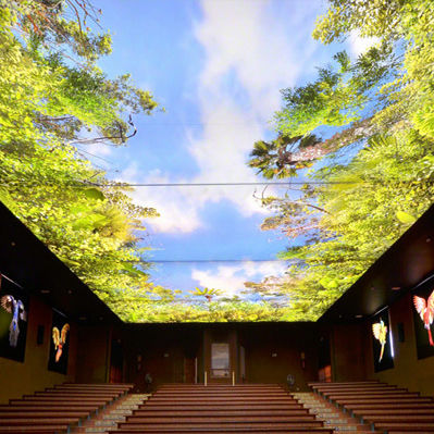 板式软膜天花 - ICON INTERIORS AND EXTERIORS - 彩色 / 装饰 / 发光