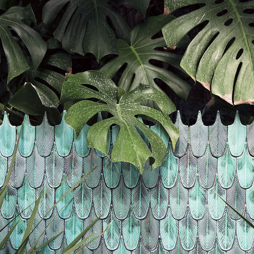 陶瓷马赛克 - PLUMAGE - BOTTEGANOVE - 抛光 / 室内 / 墙面