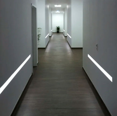 壁挂条灯 - SLC R10-F - The Light Group - 顶棚 / LED式 / 商用