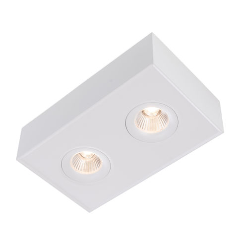 明装筒灯 - SLC DL04 Surface X2 TED - The Light Group - LED式 / 长方形 / IP40